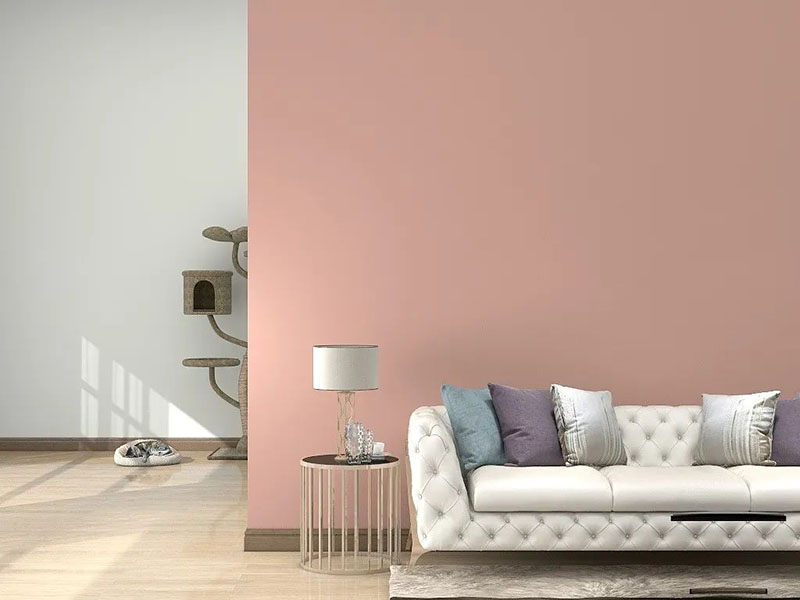 安博体育手机版官方网站入口(й)ҳ